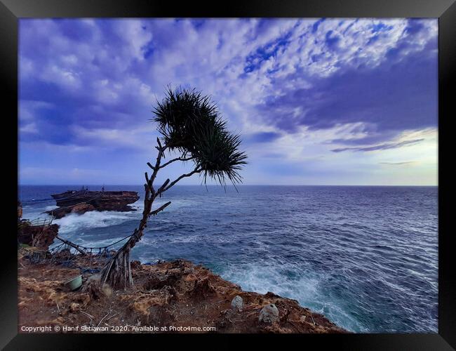 A palm tree and rock island in stormy sea Framed Print by Hanif Setiawan