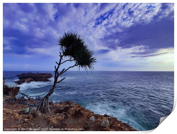 A palm tree and rock island in stormy sea Print by Hanif Setiawan