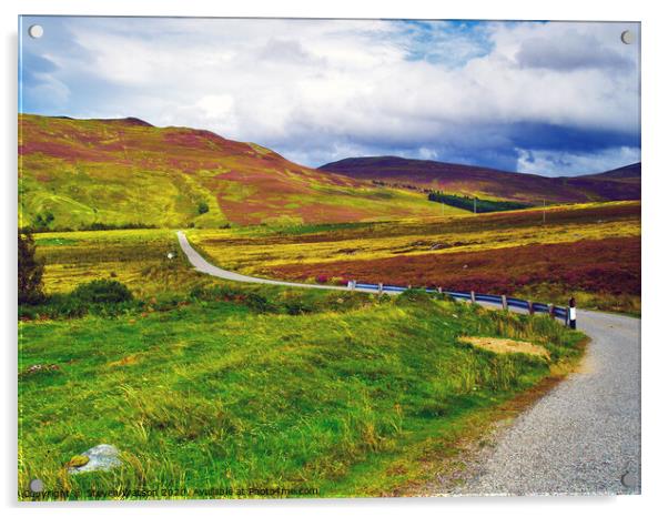 Road to Loch Killin Acrylic by Steven Watson