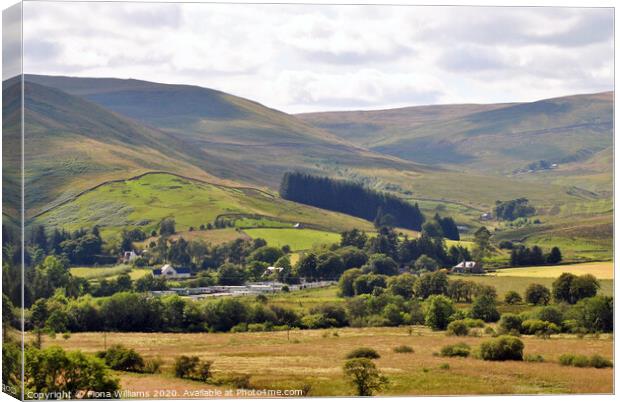 The View Down Ettrick Valley Canvas Print by Fiona Williams