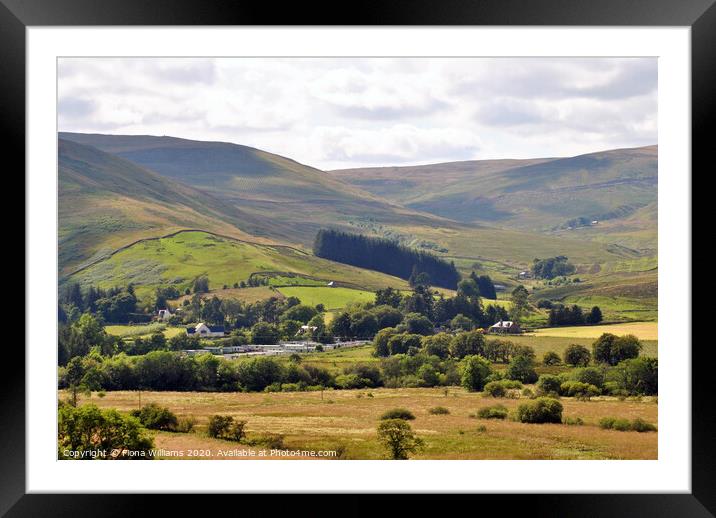 The View Down Ettrick Valley Framed Mounted Print by Fiona Williams