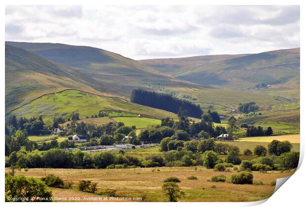 The View Down Ettrick Valley Print by Fiona Williams