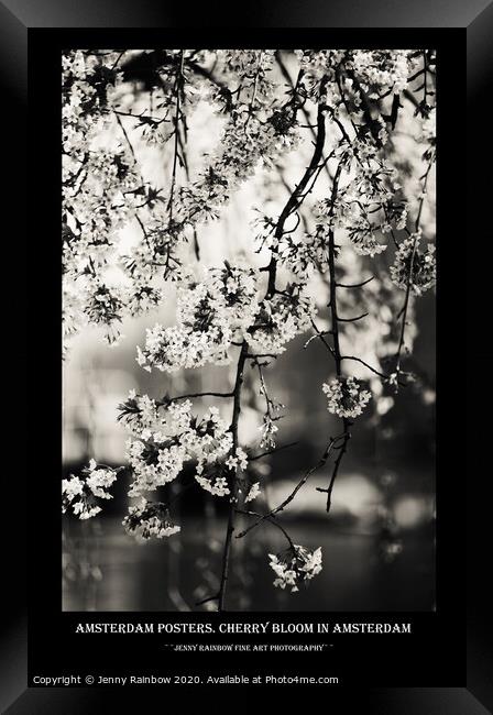 Amsterdam Posters. Cherry Bloom Framed Print by Jenny Rainbow