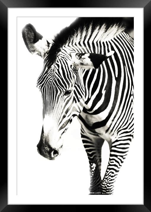 Black and White Framed Mounted Print by Jenny Rainbow
