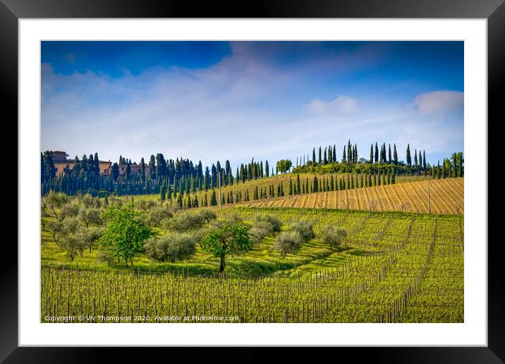 Tuscan Geometry Framed Mounted Print by Viv Thompson