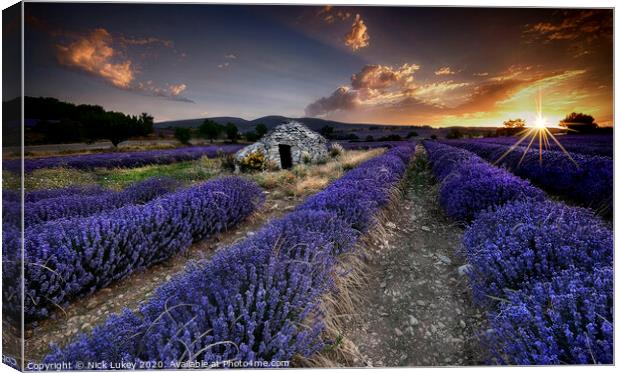 Sunrise over lavender fields in Luberon, France. Canvas Print by Nick Lukey