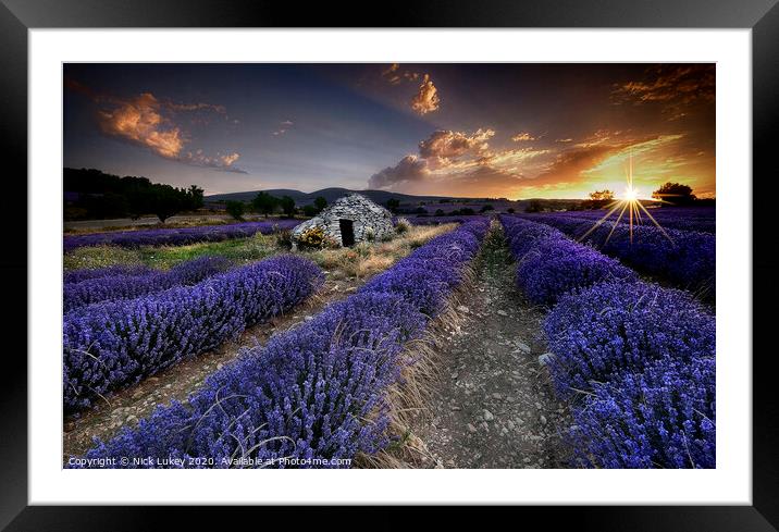 Sunrise over lavender fields in Luberon, France. Framed Mounted Print by Nick Lukey
