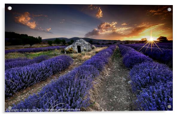 Sunrise over lavender fields in Luberon, France. Acrylic by Nick Lukey