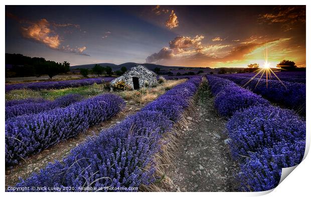 Sunrise over lavender fields in Luberon, France. Print by Nick Lukey