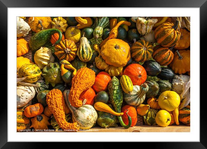 Abundant Autumn Harvest Framed Mounted Print by Jenny Rainbow