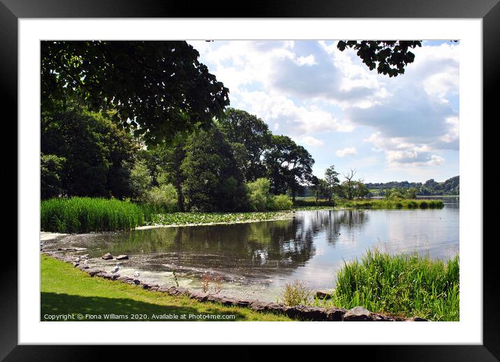 Castle Douglas Park and Loch Framed Mounted Print by Fiona Williams