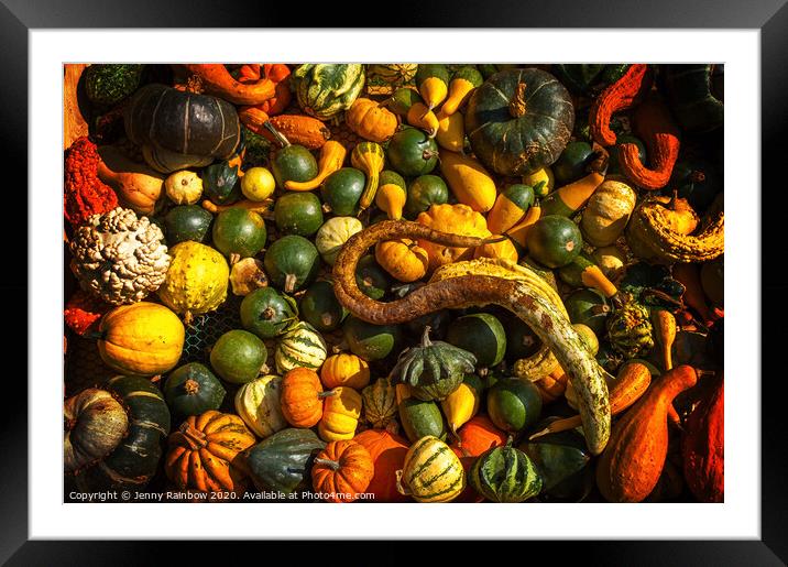 Abundant Harvest of Gourds Display Framed Mounted Print by Jenny Rainbow