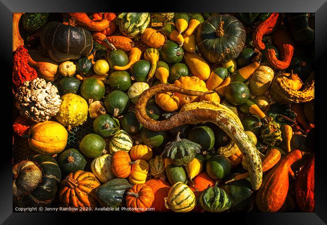 Abundant Harvest of Gourds Display Framed Print by Jenny Rainbow