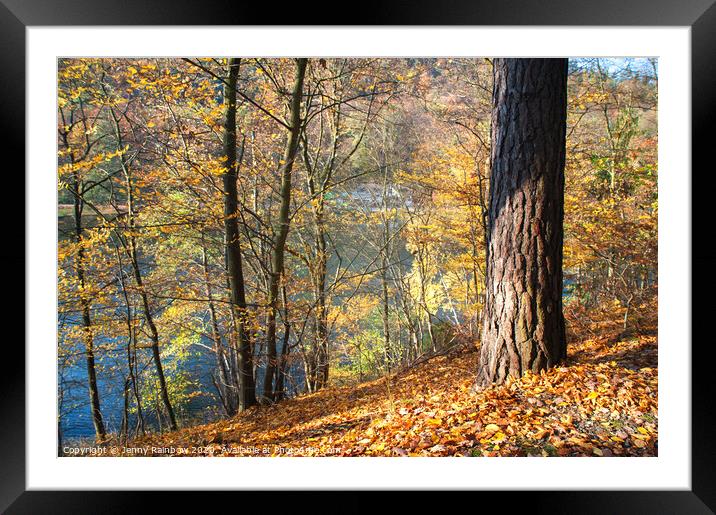 Autumn Silent Hill Framed Mounted Print by Jenny Rainbow
