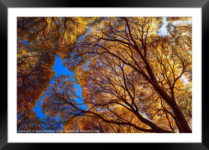 Autumn Glory Framed Mounted Print by Jenny Rainbow