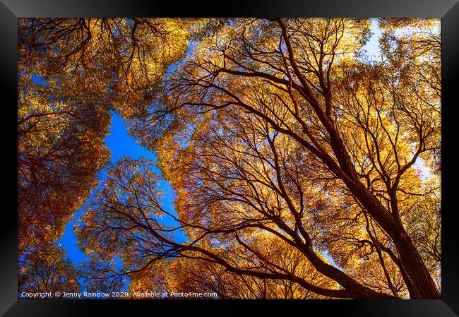 Autumn Glory Framed Print by Jenny Rainbow