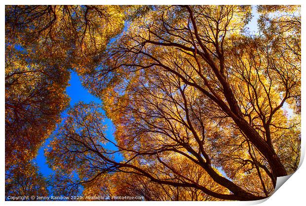 Autumn Glory Print by Jenny Rainbow