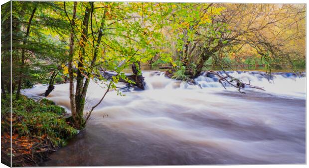 The Enchanting Autumnal Beauty of River Teign Canvas Print by David Martin