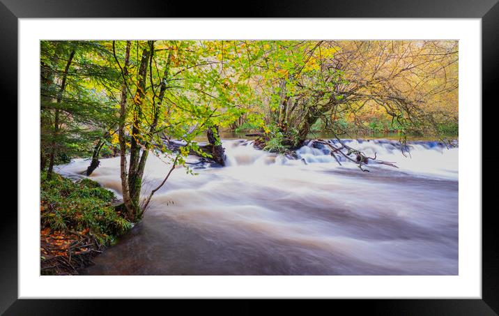 The Enchanting Autumnal Beauty of River Teign Framed Mounted Print by David Martin