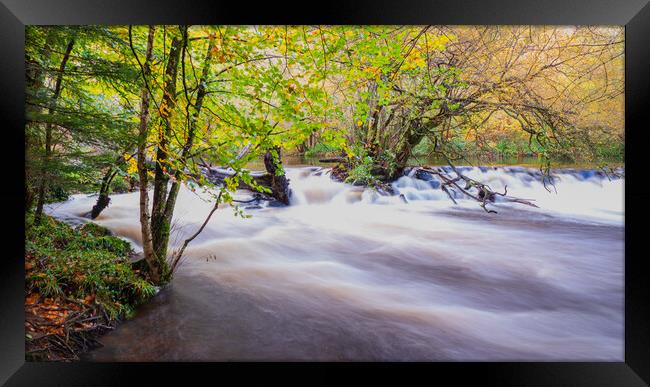 The Enchanting Autumnal Beauty of River Teign Framed Print by David Martin