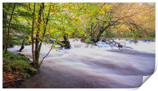 The Enchanting Autumnal Beauty of River Teign Print by David Martin