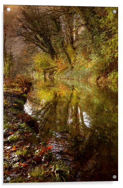 The Clydach to Pontardawe canal Acrylic by Leighton Collins