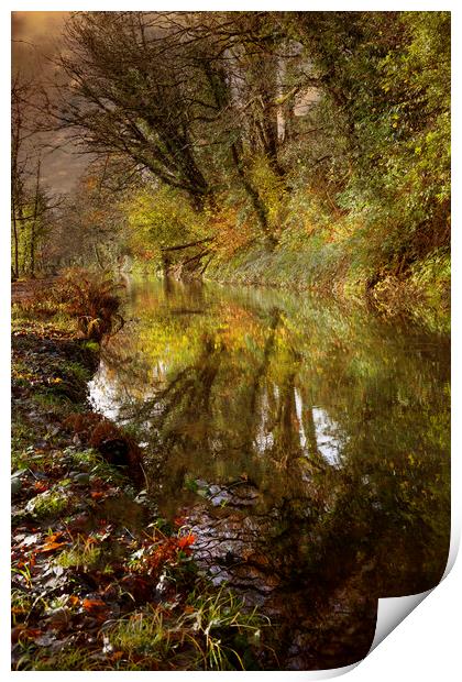 The Clydach to Pontardawe canal Print by Leighton Collins