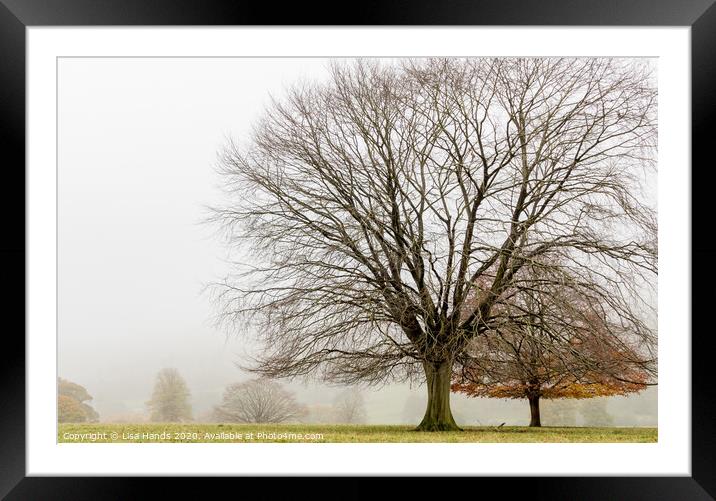 Winter Tree Framed Mounted Print by Lisa Hands