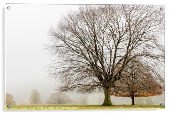 Winter Tree Acrylic by Lisa Hands