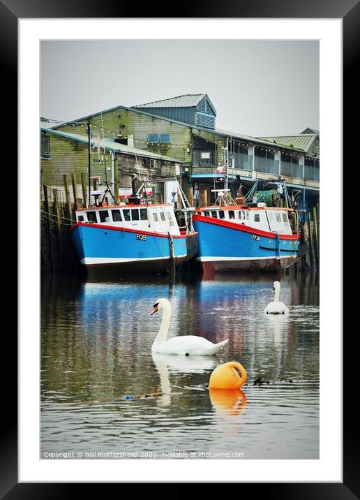 Swans And Trawlers. Framed Mounted Print by Neil Mottershead