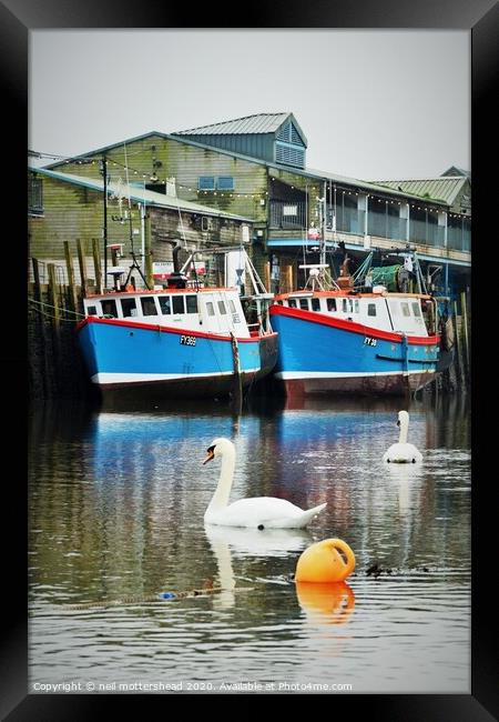 Swans And Trawlers. Framed Print by Neil Mottershead