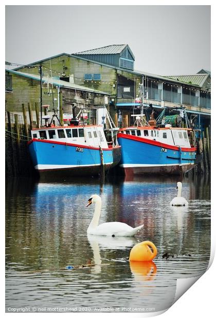 Swans And Trawlers. Print by Neil Mottershead