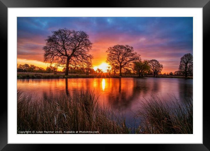 Bushy Park sunrise Framed Mounted Print by Julian Paynter