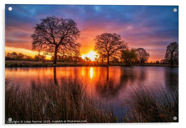 Bushy Park sunrise Acrylic by Julian Paynter