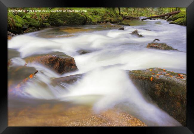 Golitha Falls Liskeard Framed Print by Avril Harris