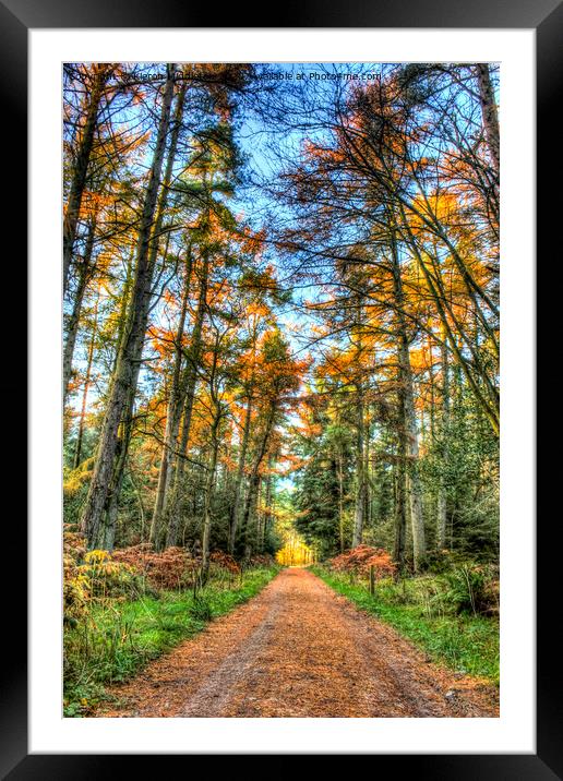 Dalby in the Autumn Framed Mounted Print by Kieron Middleton