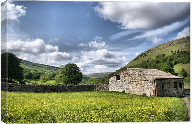 Dalescape ~ Swaledale, The Dales #3 Canvas Print by Sandi-Cockayne ADPS