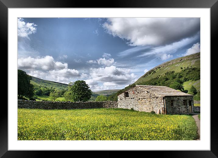 Dalescape ~ Swaledale, The Dales #3 Framed Mounted Print by Sandi-Cockayne ADPS