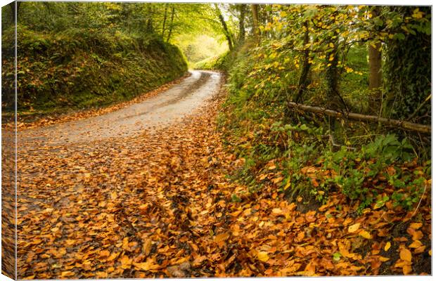 Autumnal Devon country lane Canvas Print by Tony Twyman