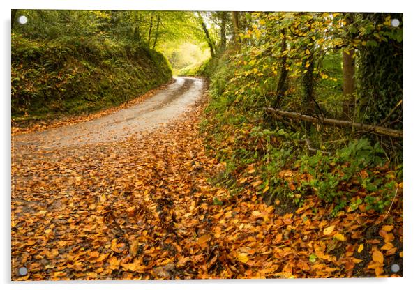 Autumnal Devon country lane Acrylic by Tony Twyman