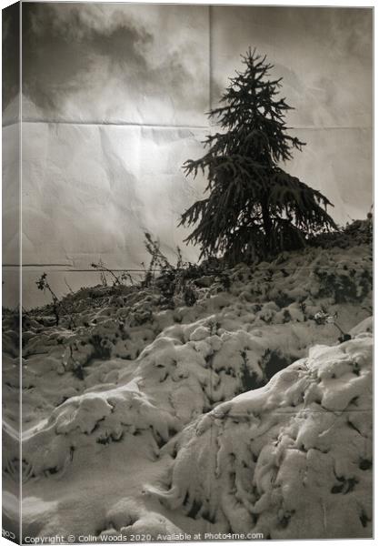 Fresh snow and cloud Canvas Print by Colin Woods