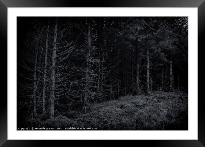 Dark Harwood Forest Framed Mounted Print by Hannah Watson