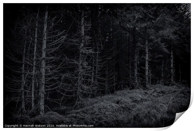 Dark Harwood Forest Print by Hannah Watson