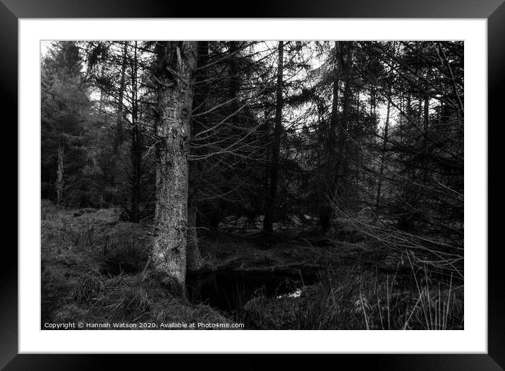 Spooky Harwood Forest Framed Mounted Print by Hannah Watson