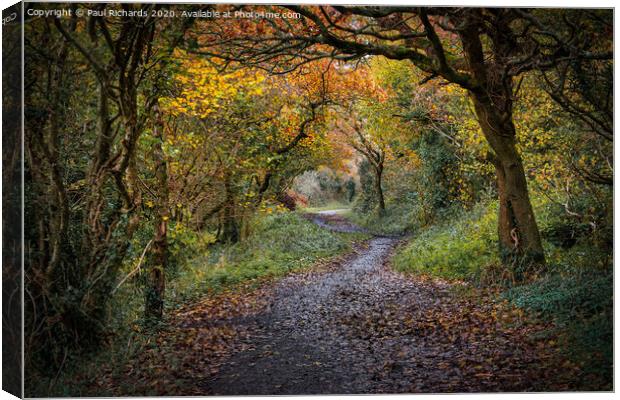 Autumn in Cornwall Canvas Print by Paul Richards