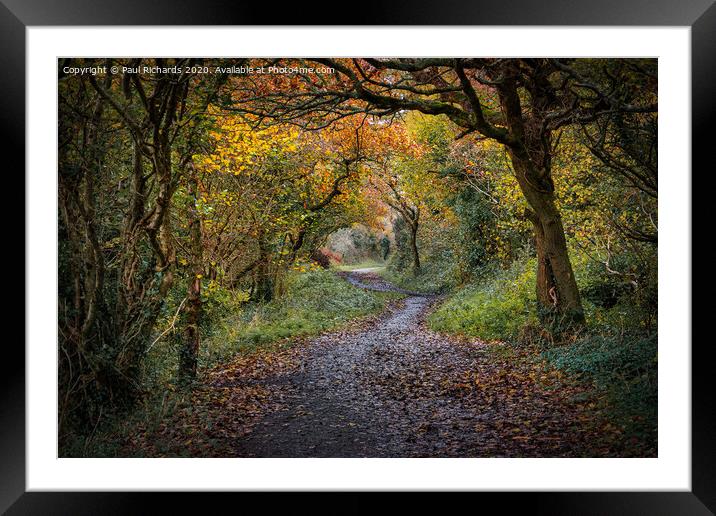 Autumn in Cornwall Framed Mounted Print by Paul Richards