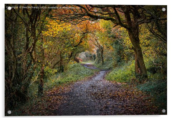 Autumn in Cornwall Acrylic by Paul Richards
