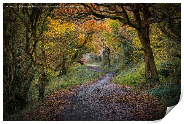 Autumn in Cornwall Print by Paul Richards