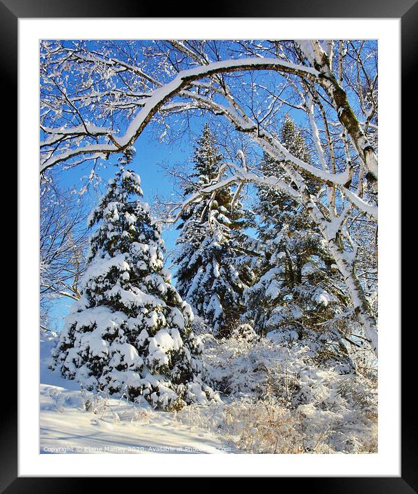Snow Covered  Framed Mounted Print by Elaine Manley