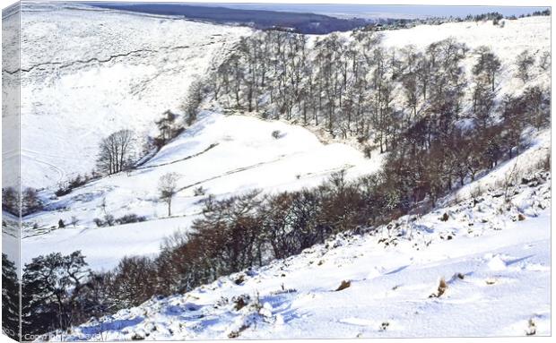Winter in the North Yorkshire Moors Canvas Print by David Mather